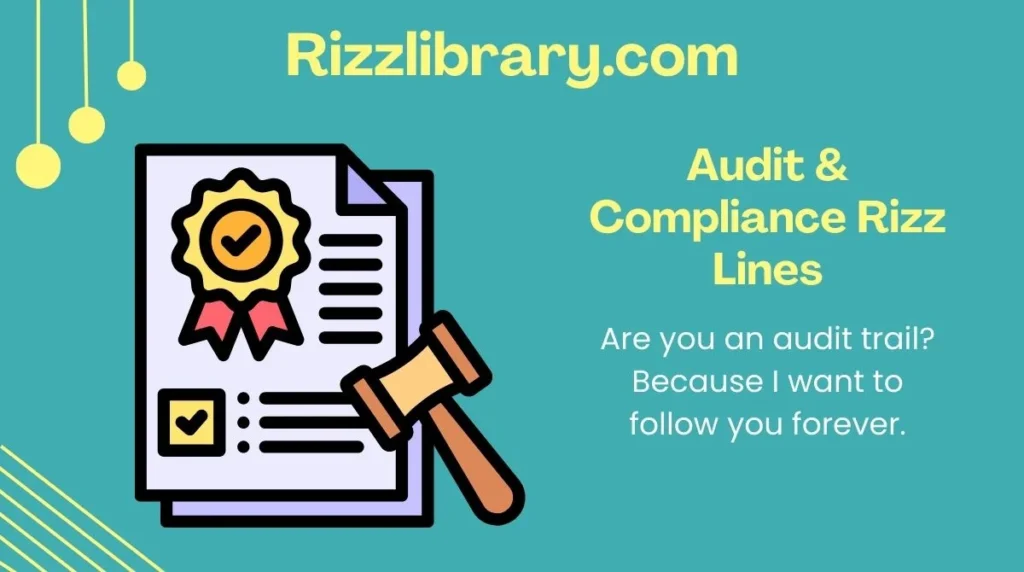 Audit & Compliance Rizz Lines