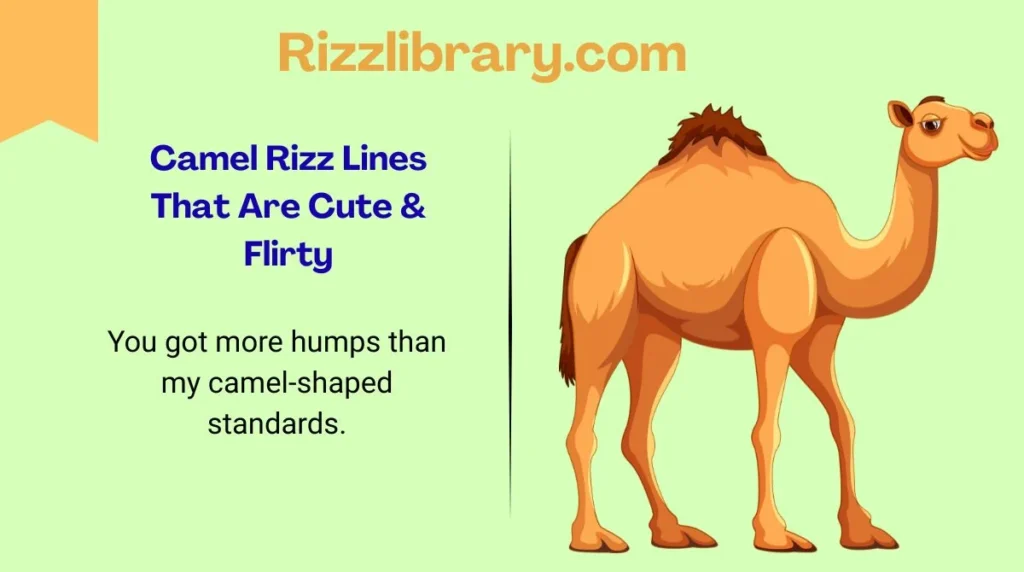 Camel Rizz Lines That Are Cute & Flirty