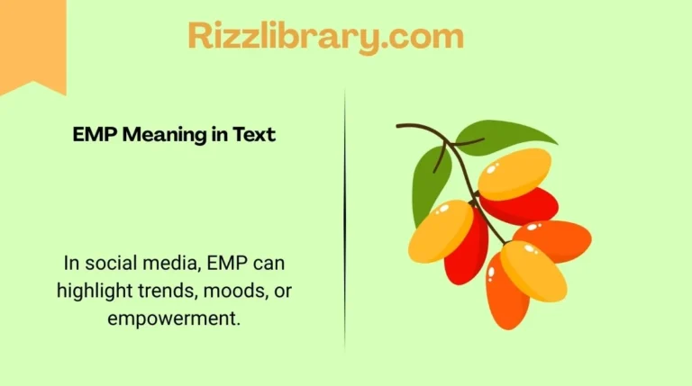 EMP Meaning in Text