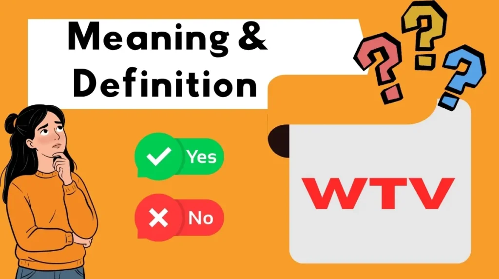 Meaning & Definition WTV